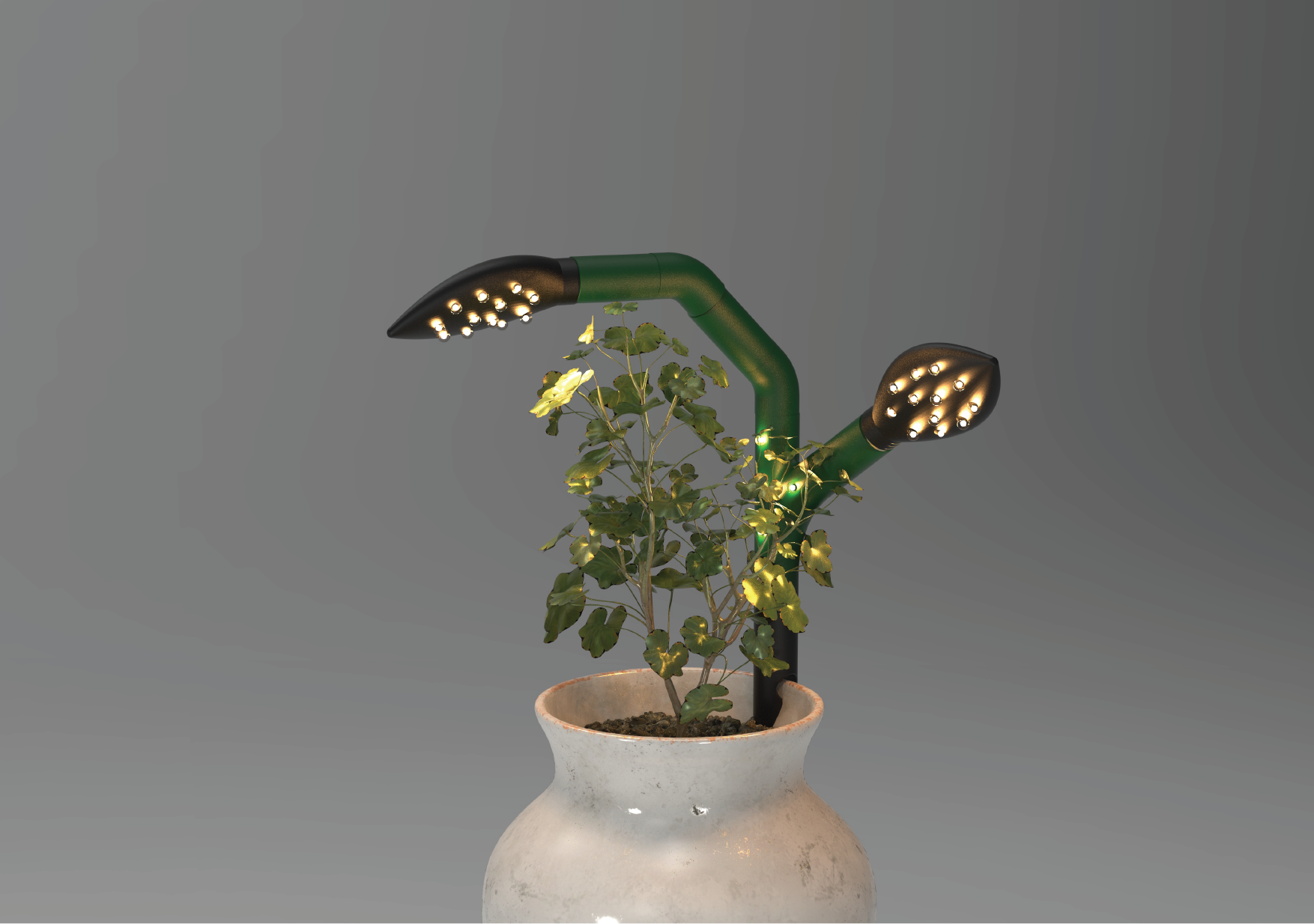 RENDERS